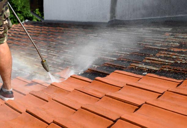 Best Garage Pressure Washing  in Three Oaks, MI