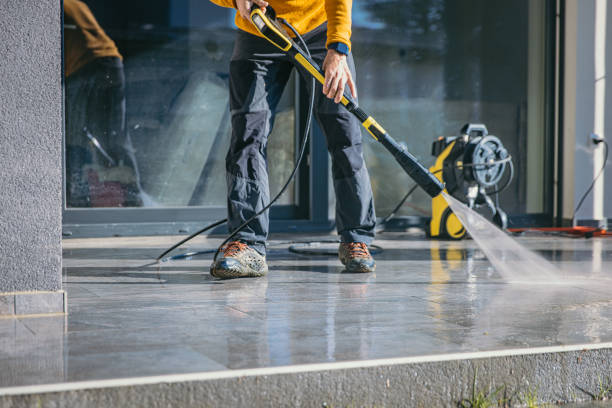 Best Roof Pressure Washing  in Three Oaks, MI