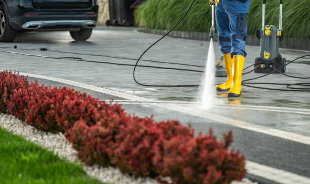 Best Residential Pressure Washing Services  in Three Oaks, MI
