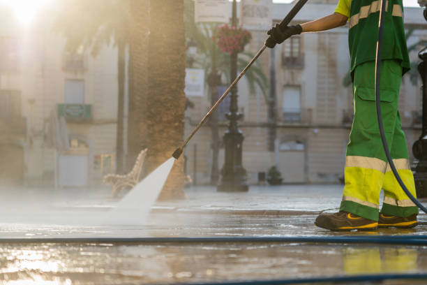 Best Deck Cleaning Services  in Three Oaks, MI