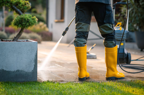 Best Deck Pressure Washing  in Three Oaks, MI